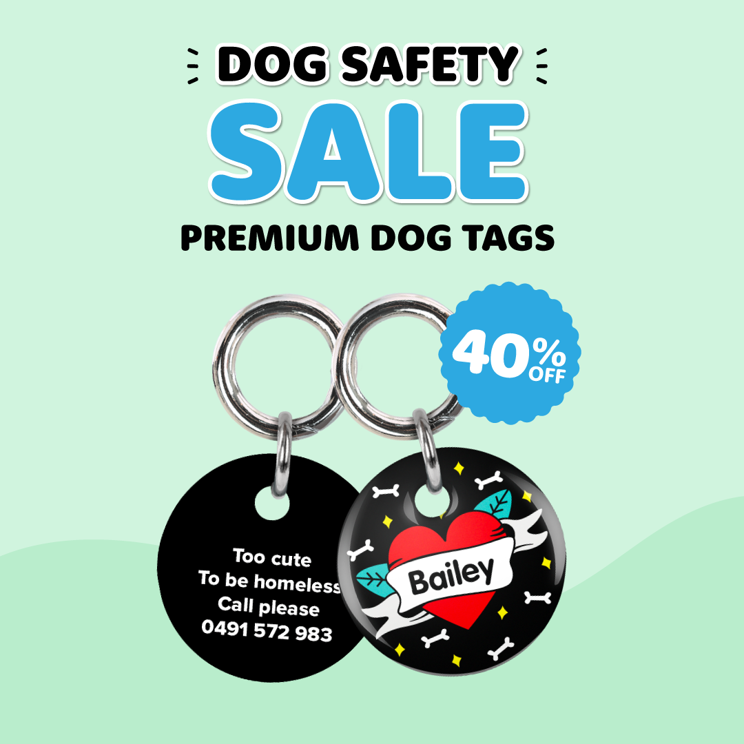 Premium Dog Tags