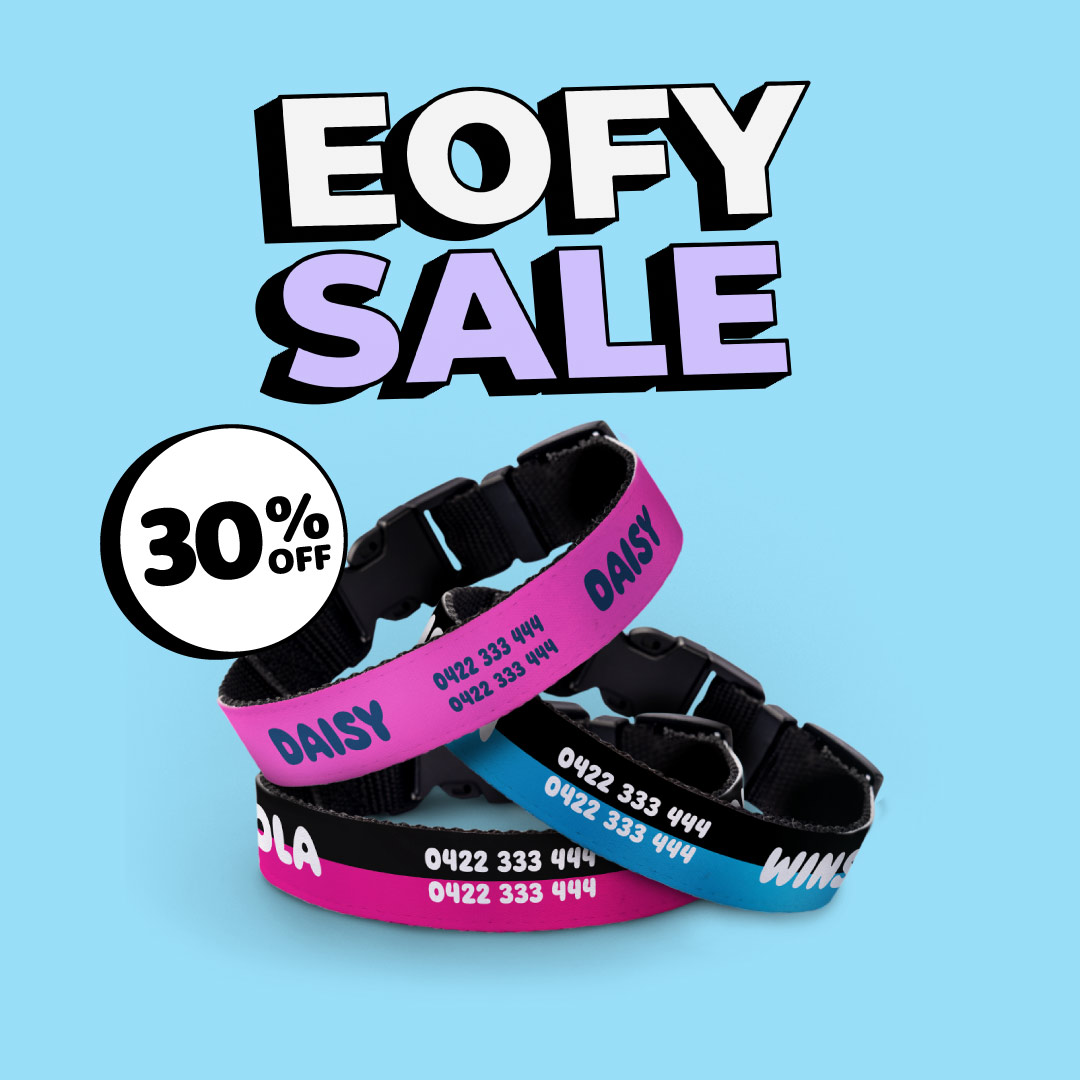 Personalised Dog Collars