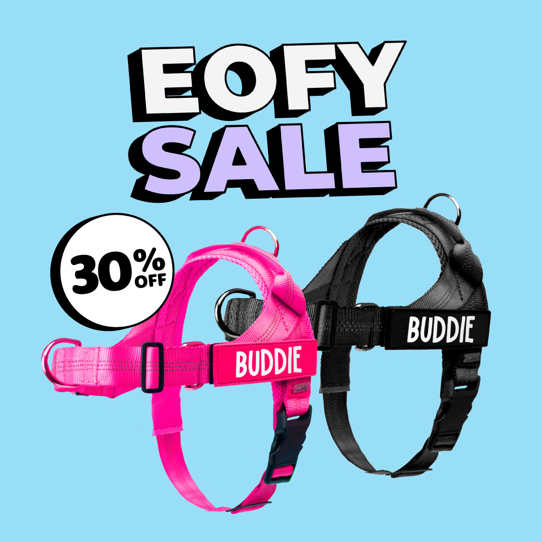 No Pull Dog Harness