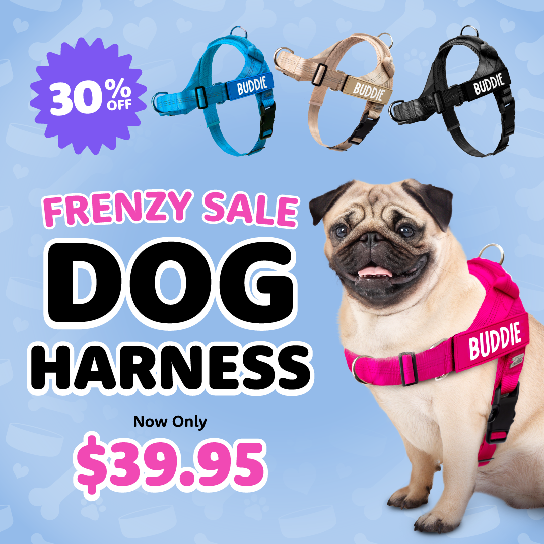 No Pull Dog Harness