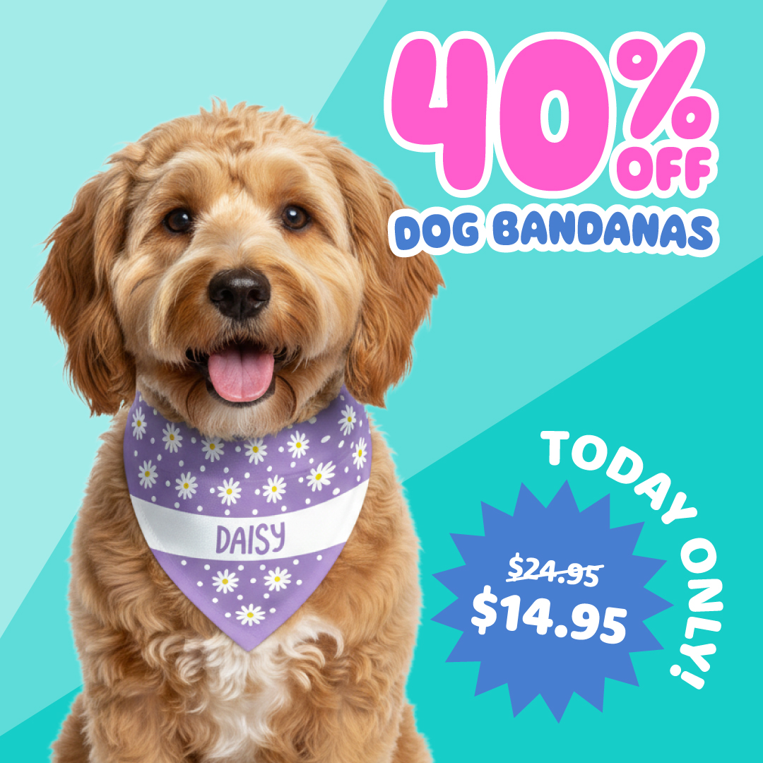 Dog Bandanas