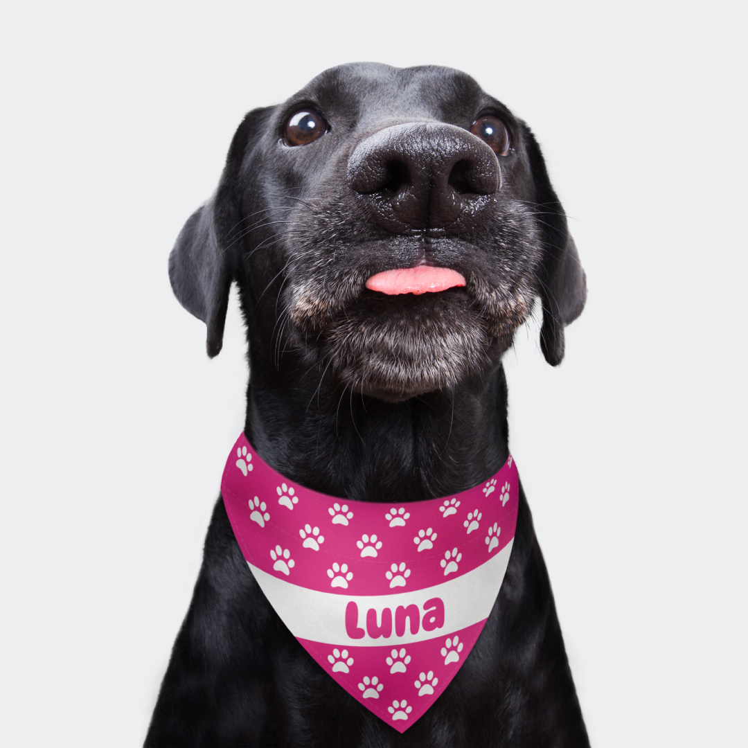 Dog Bandanas