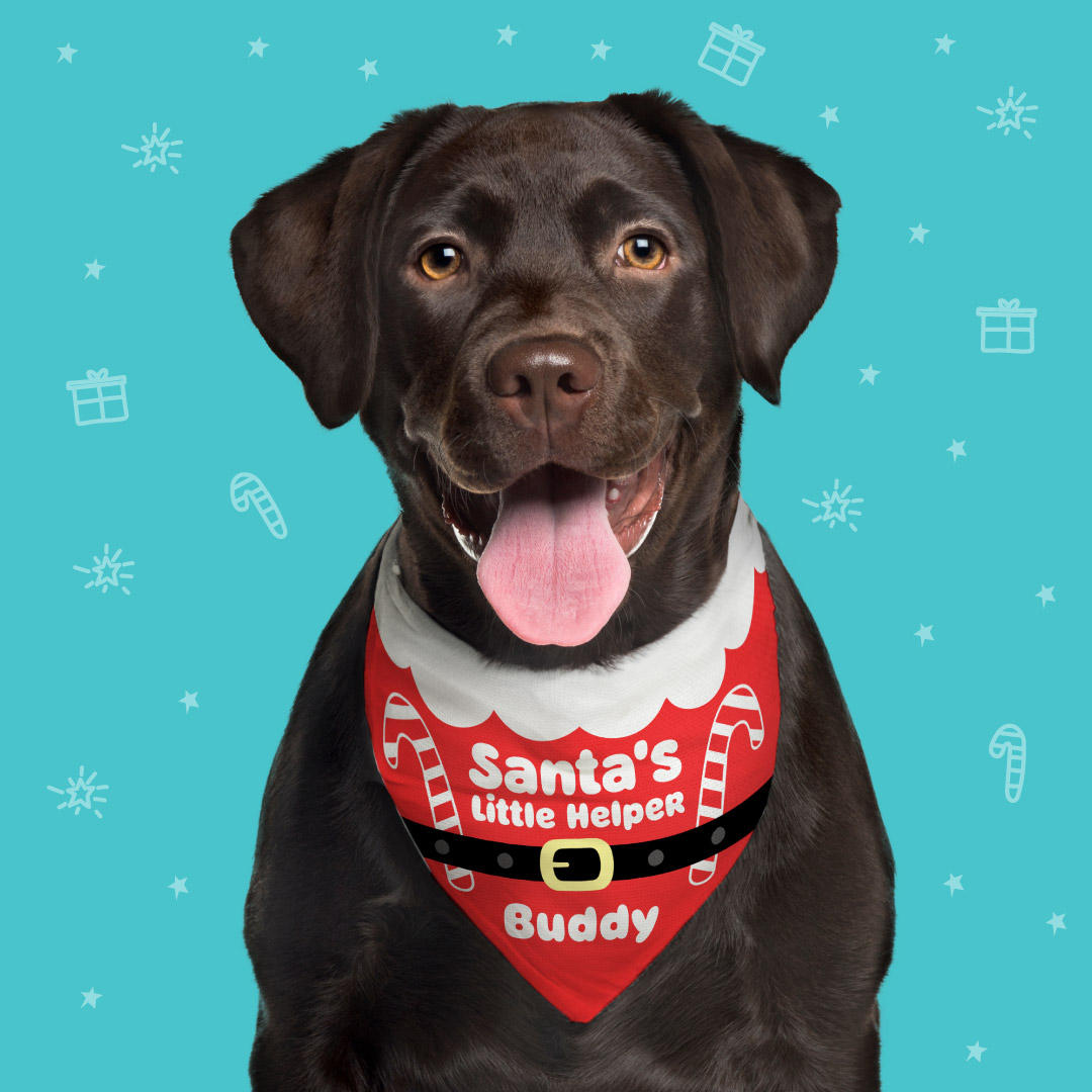 Christmas Dog Bandanas