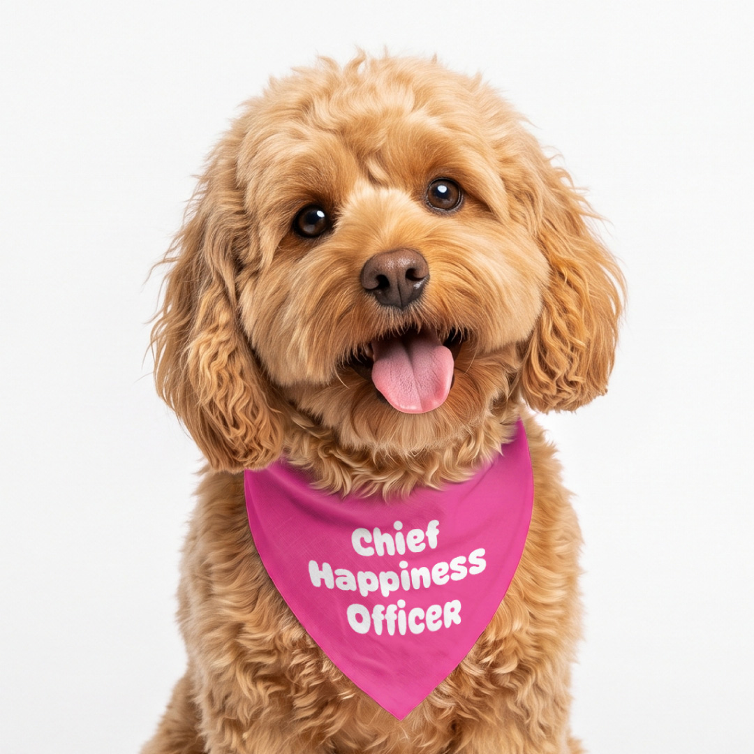 Dog Bandanas