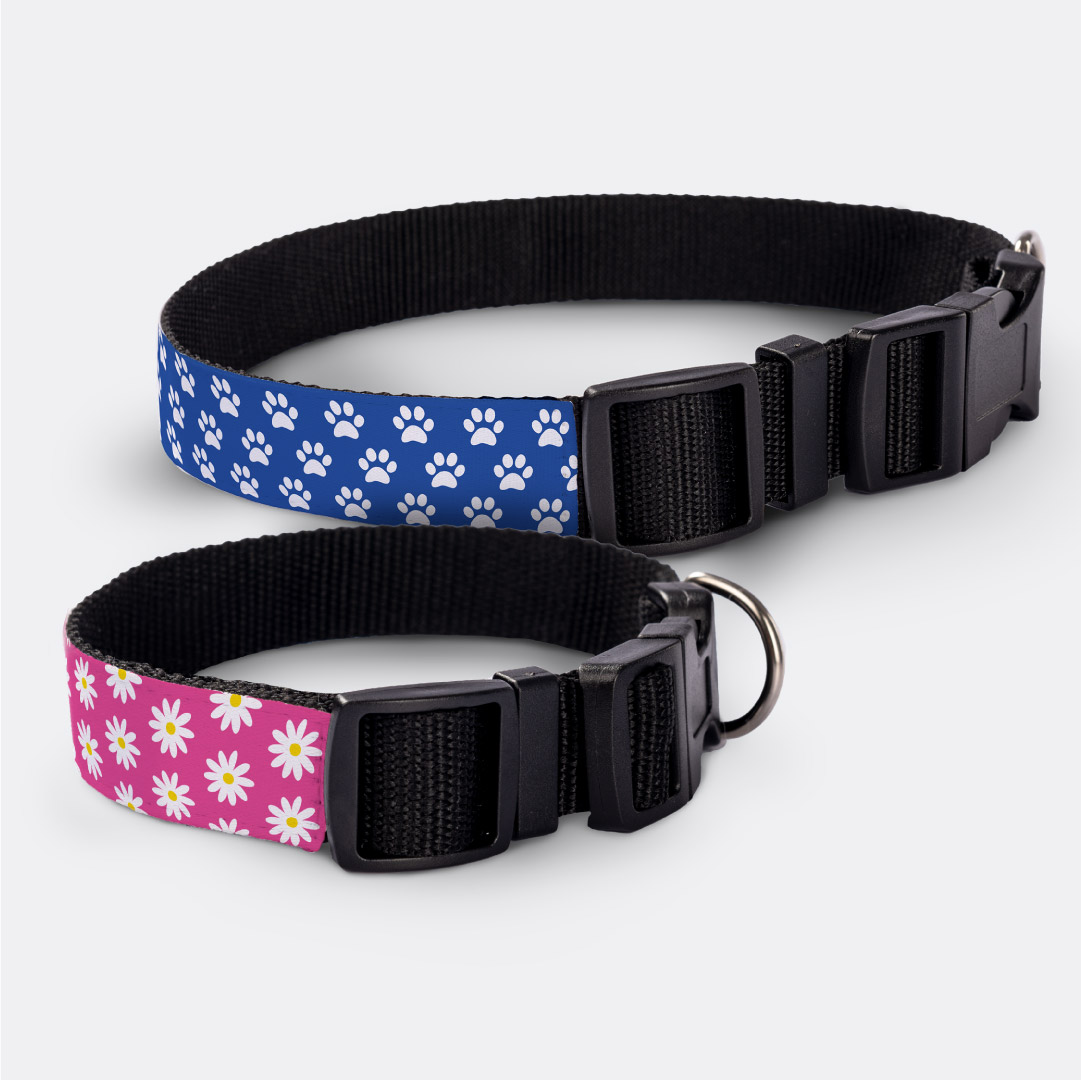 Patterned Dog Collars