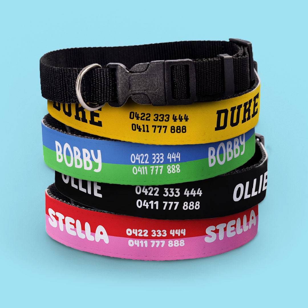 Personalised Dog Collars
