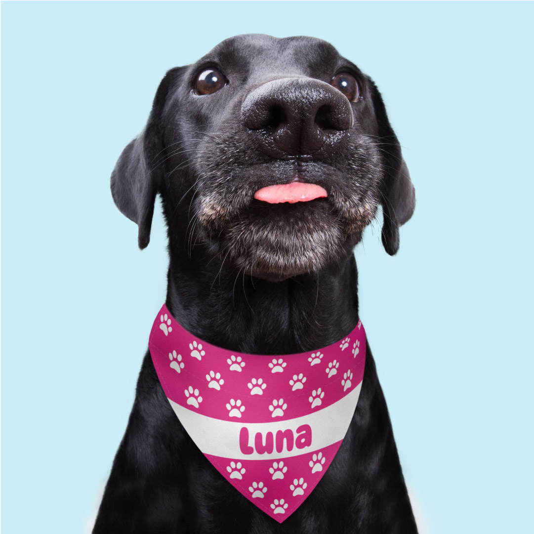 Dog Bandanas