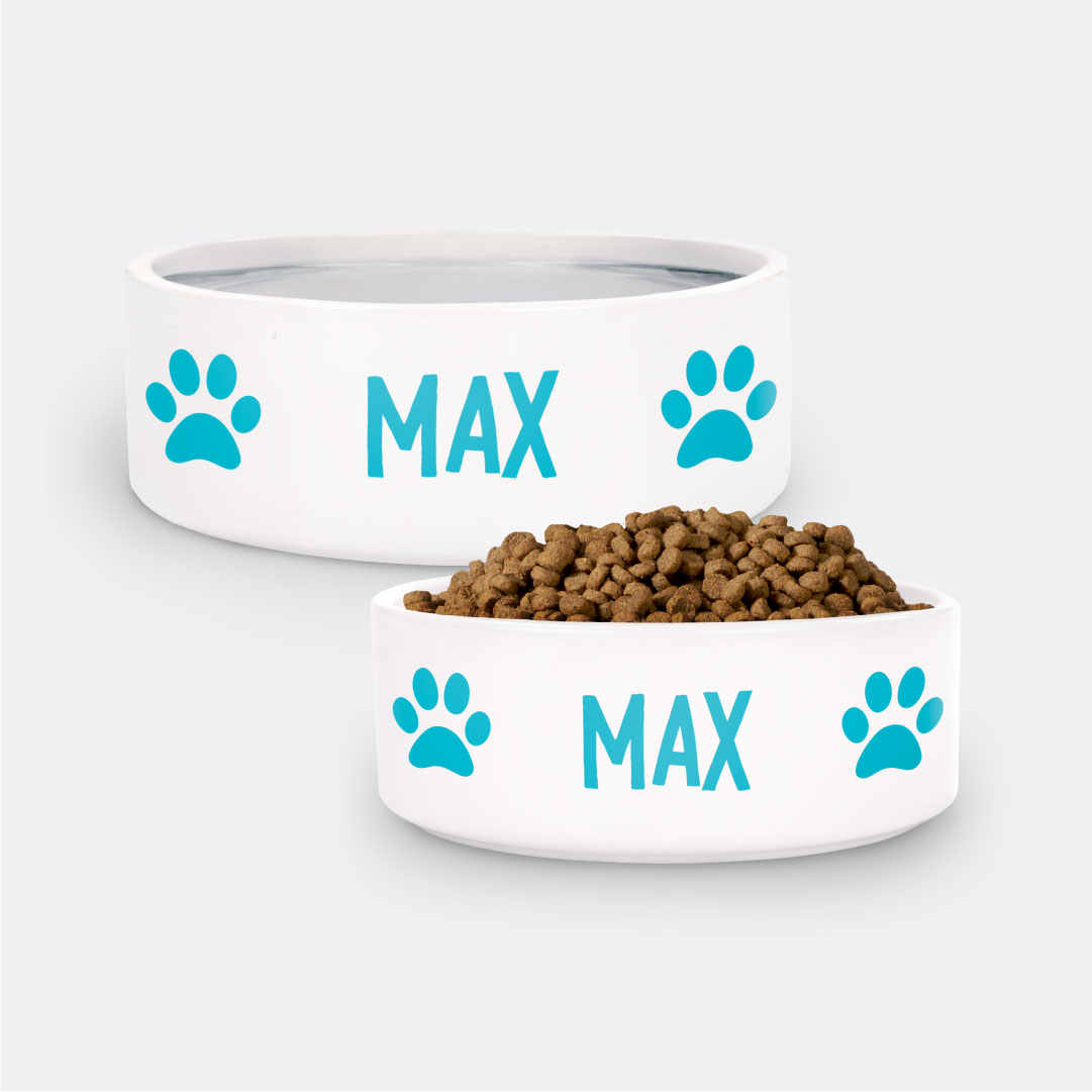 Premium Ceramic Dog Bowls