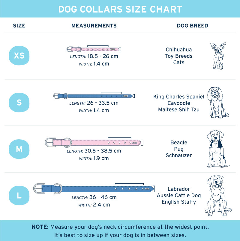 Premium Leather Dog Collars Australia